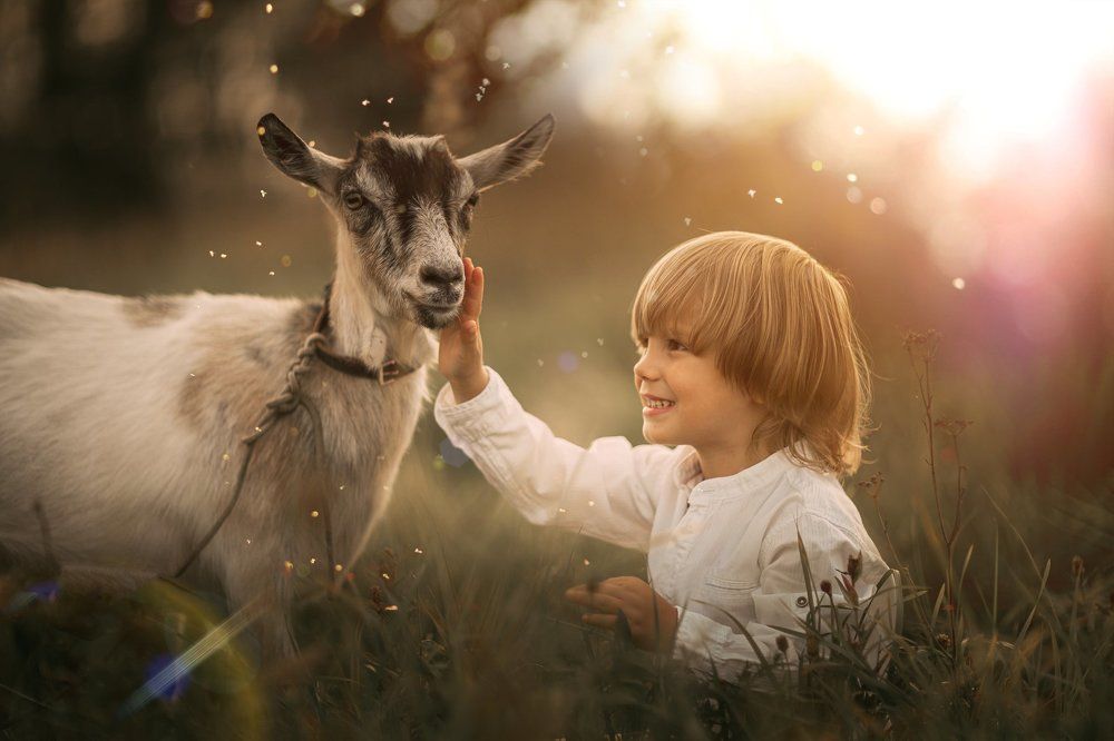 Photograph by Екатерина