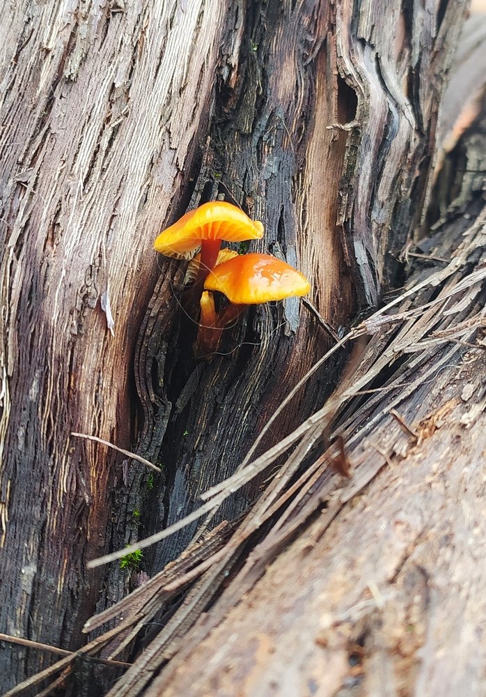 Photograph by Александр Григорьев