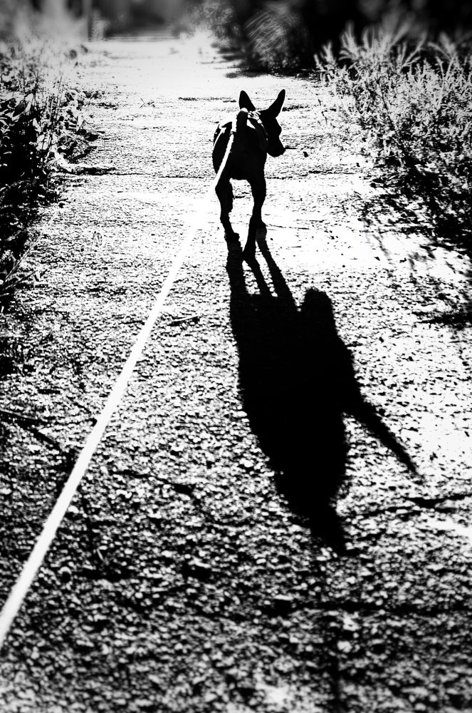 Photograph by Игорь Маслов