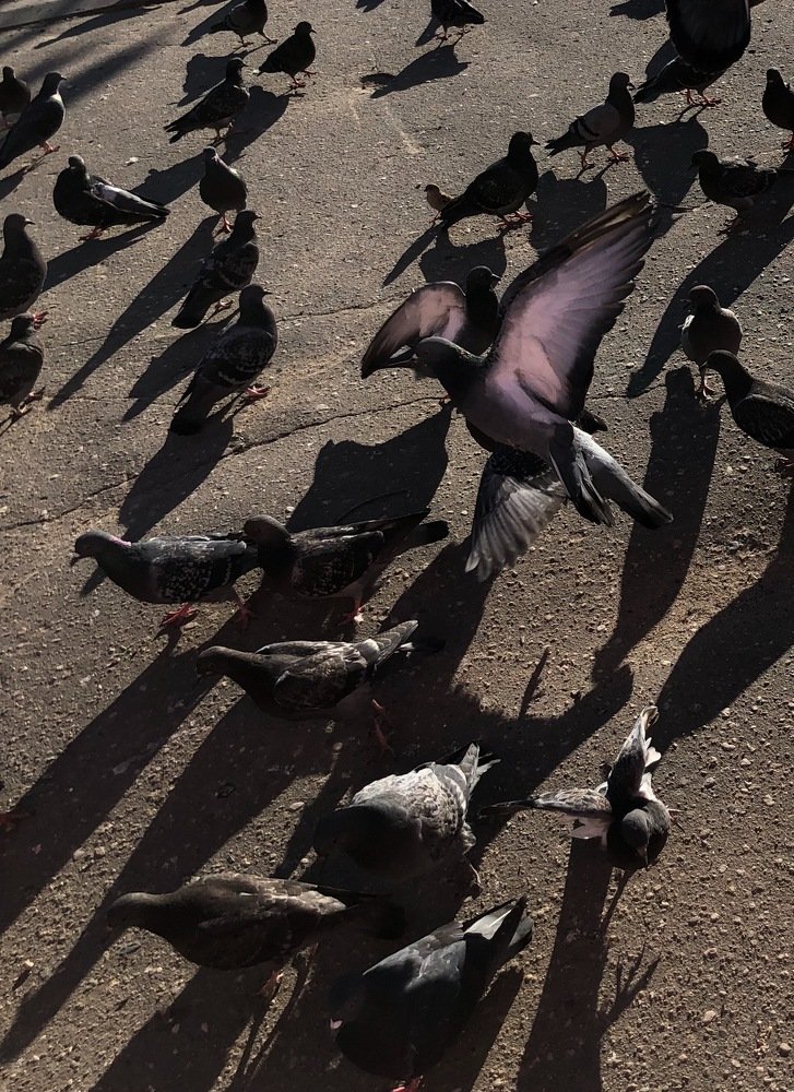 Photograph by Татьяна Синицына