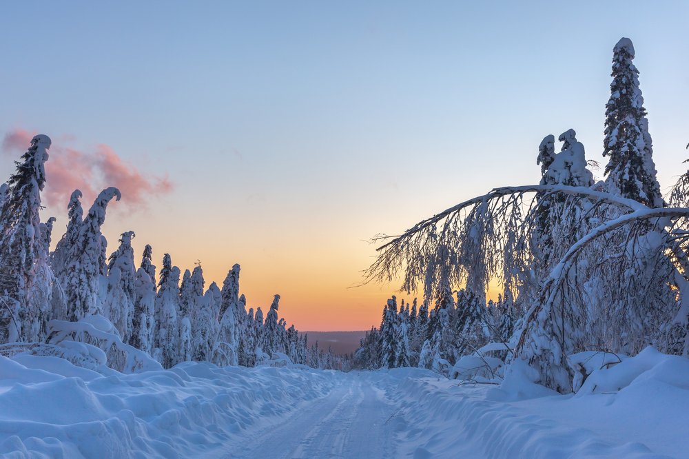 Зимняя дорога