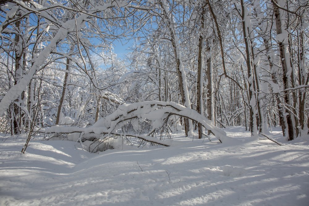 Волшебные арки
