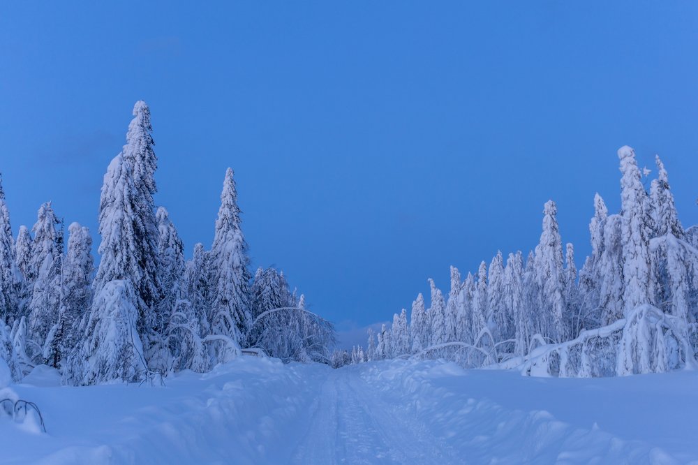 Зимняя дорога