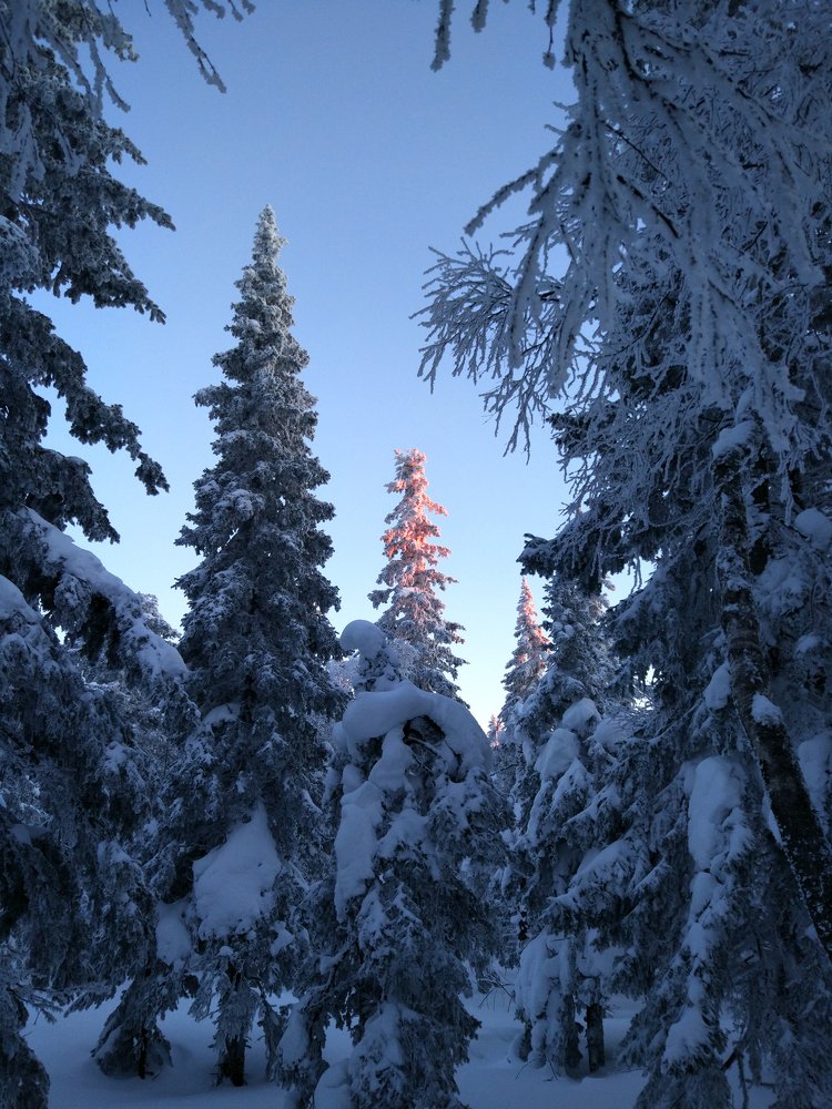 Photograph by Дмитрий Жучков