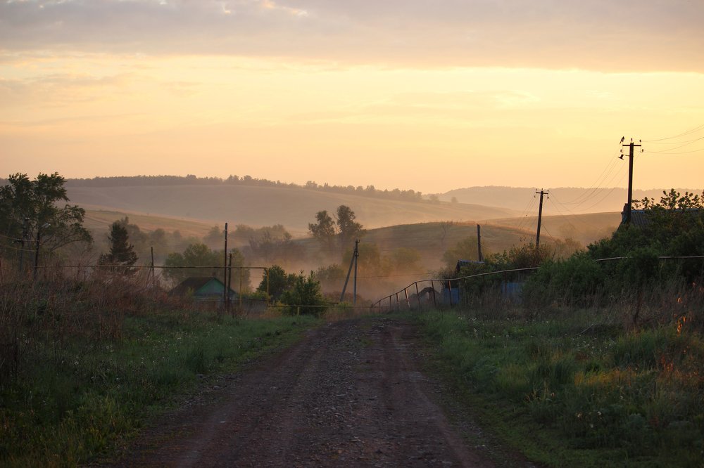 Фотография автора Дарья Шамакина
