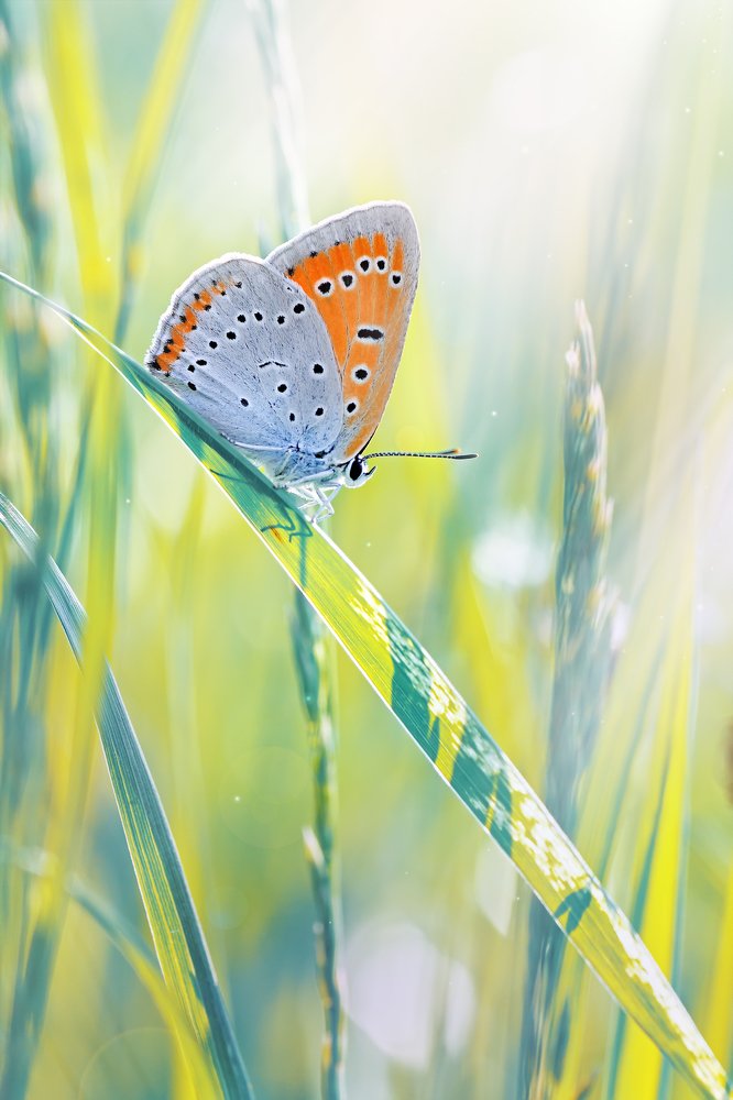 Photograph by Юрий Котов