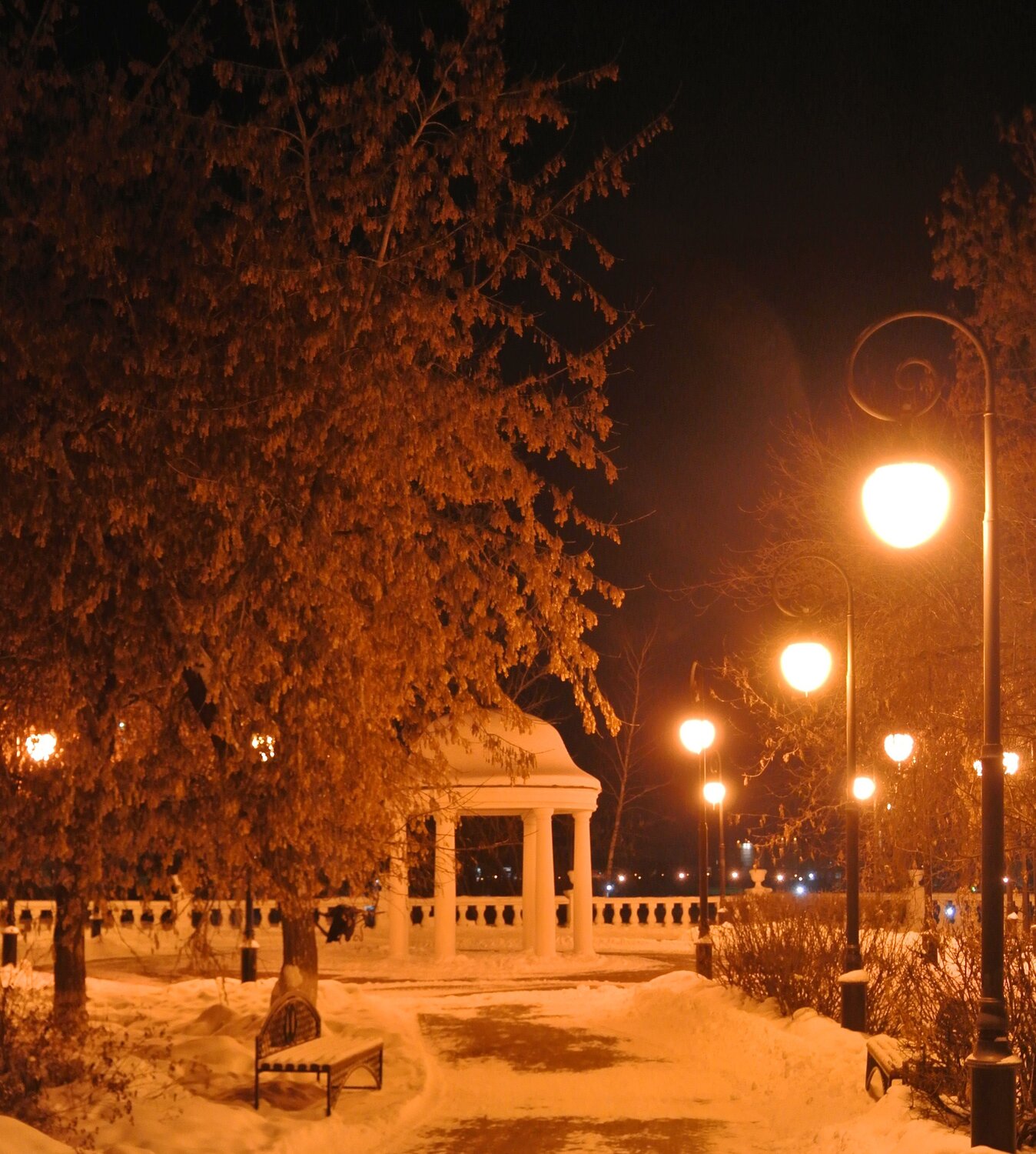 Photo #4398252
