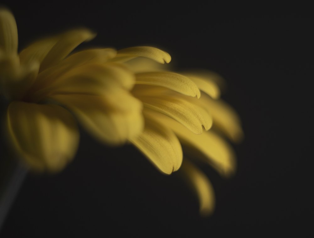 Photograph by Екатерина Иванова