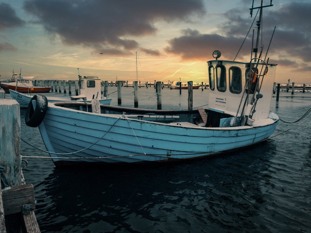 Photograph by Daniel Yelisieiev