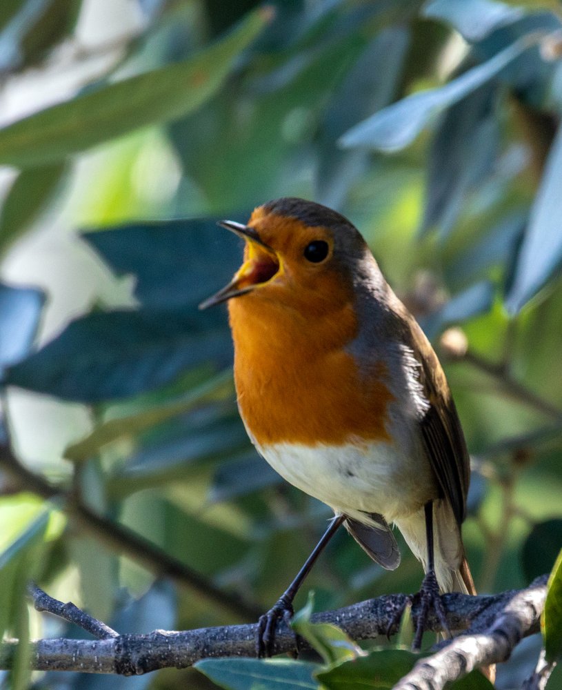 Photograph by Иван Шаповалов