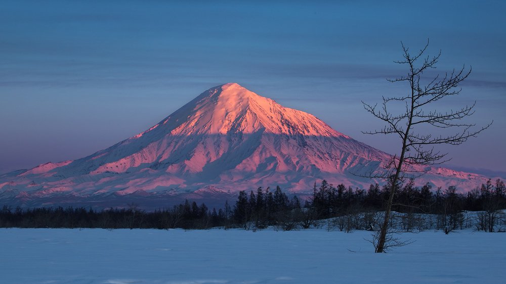 Photograph by Никита Шиндин