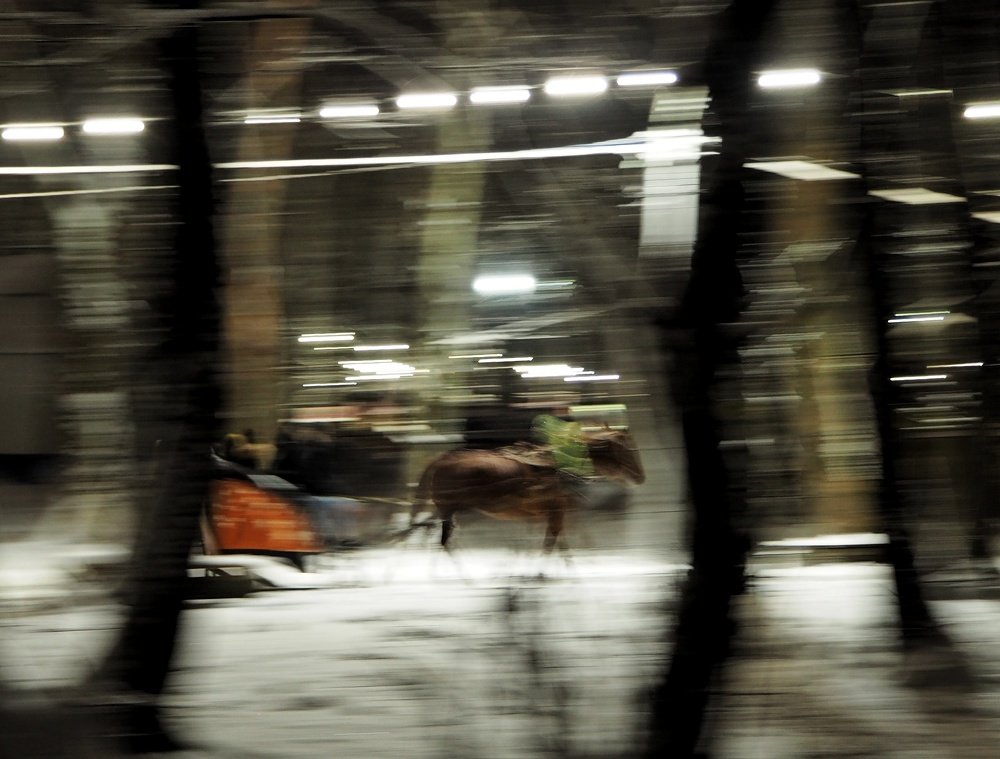 Photograph by Вячеслав Бондаренко