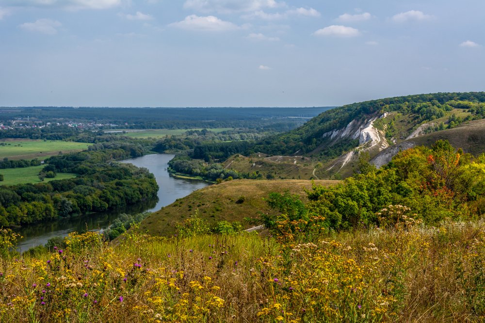 Сторожевое