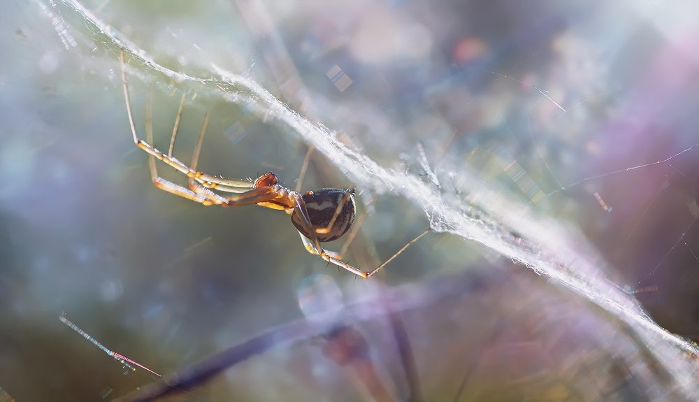 Photograph by Юрий Котов