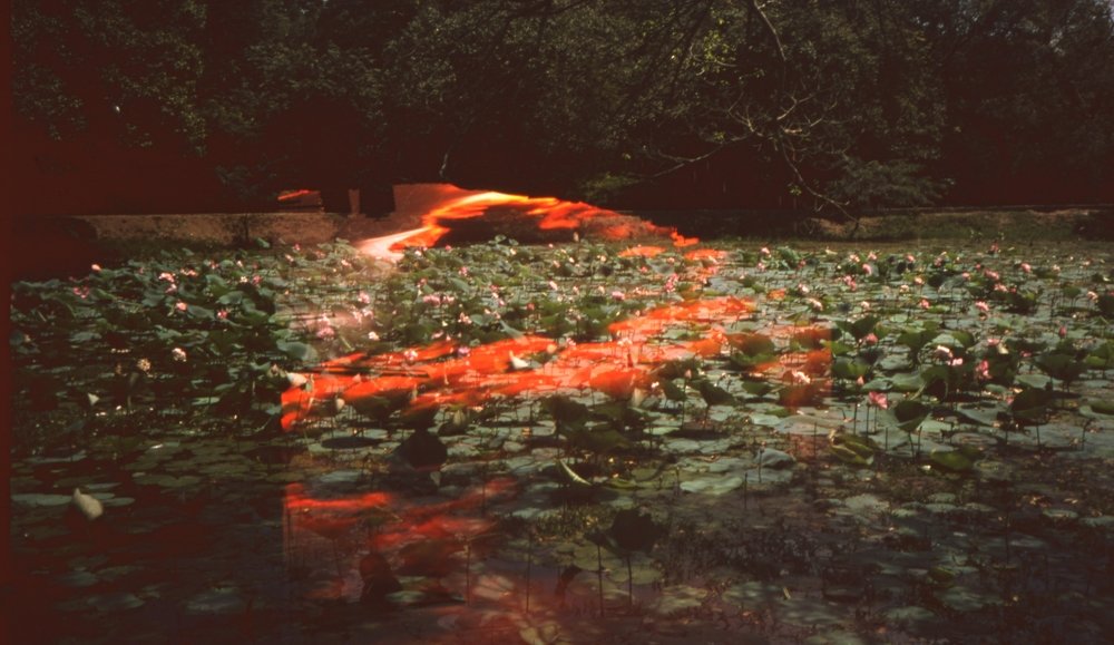 Photograph by Salome Jishkariani