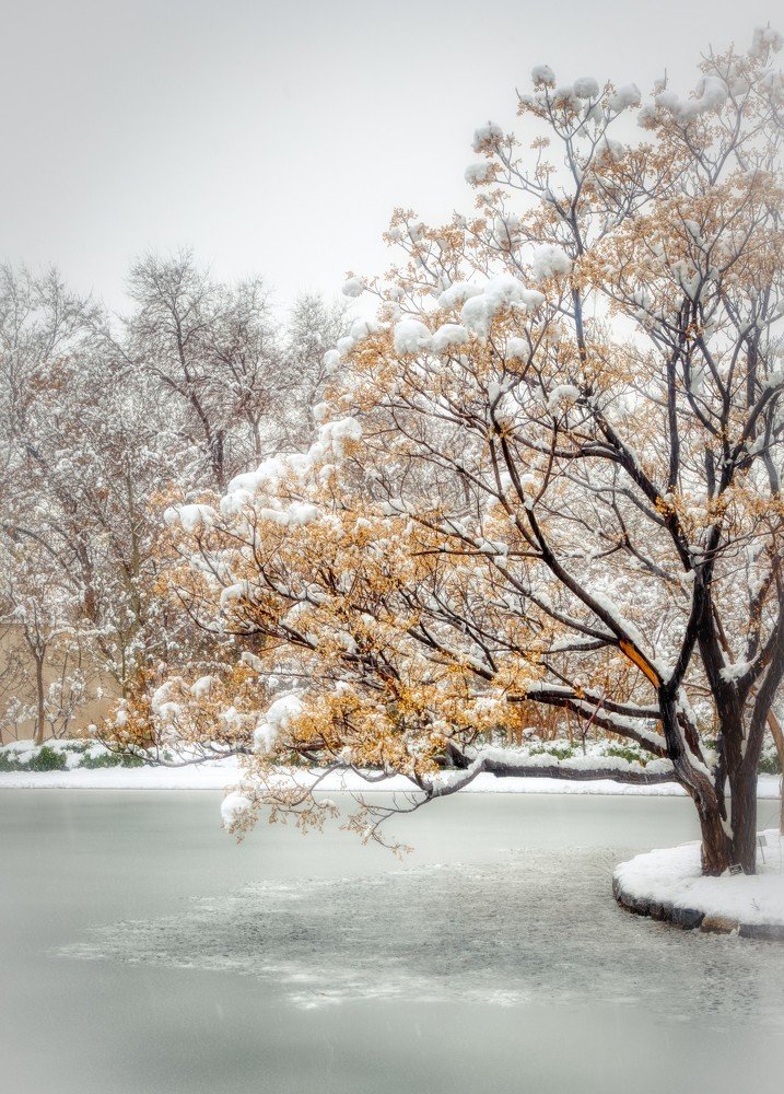 Фотография автора Pejman Sadeghzadeh