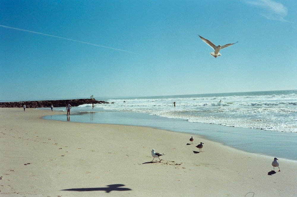 Photograph by Salome Jishkariani
