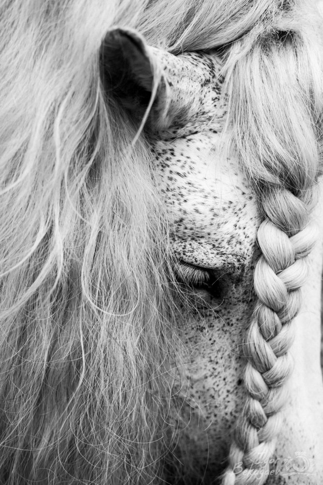 Photograph by Игорь Бекагаев