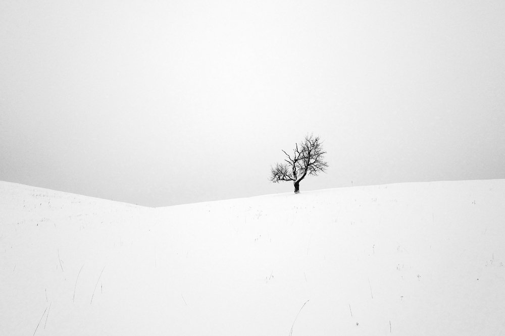 Фотография автора senjor