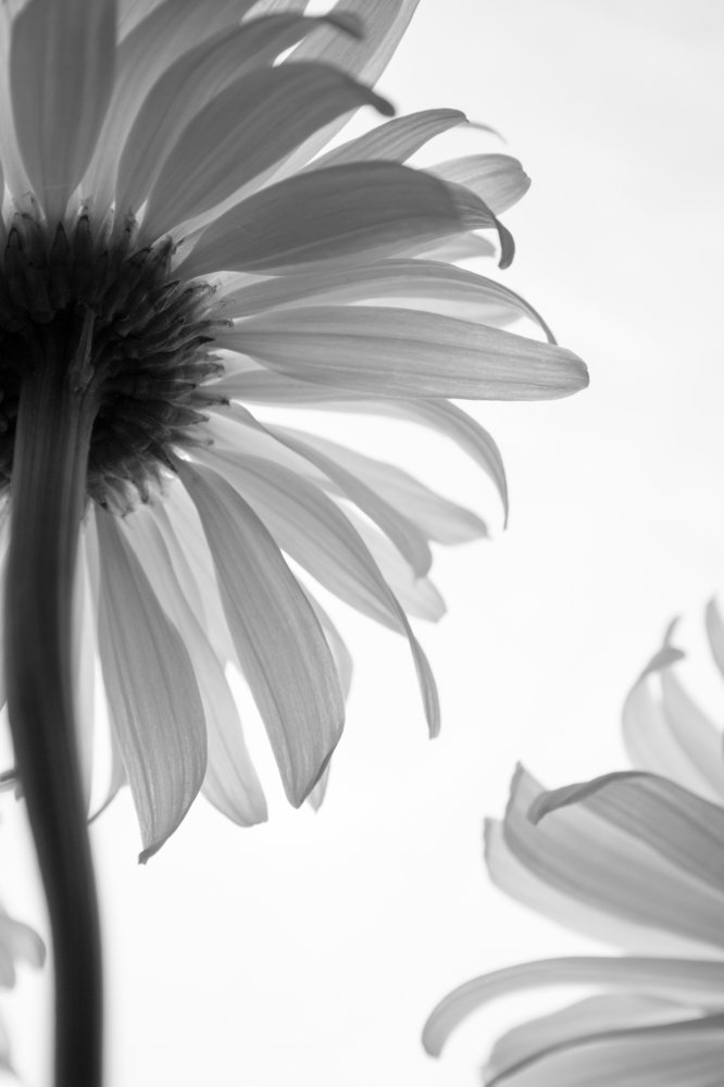 Photograph by Мария Кудрявцева