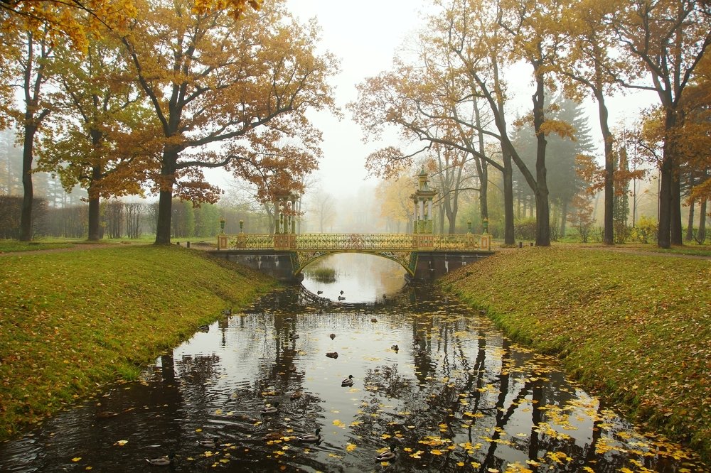 Photograph by Сергей Андреевич