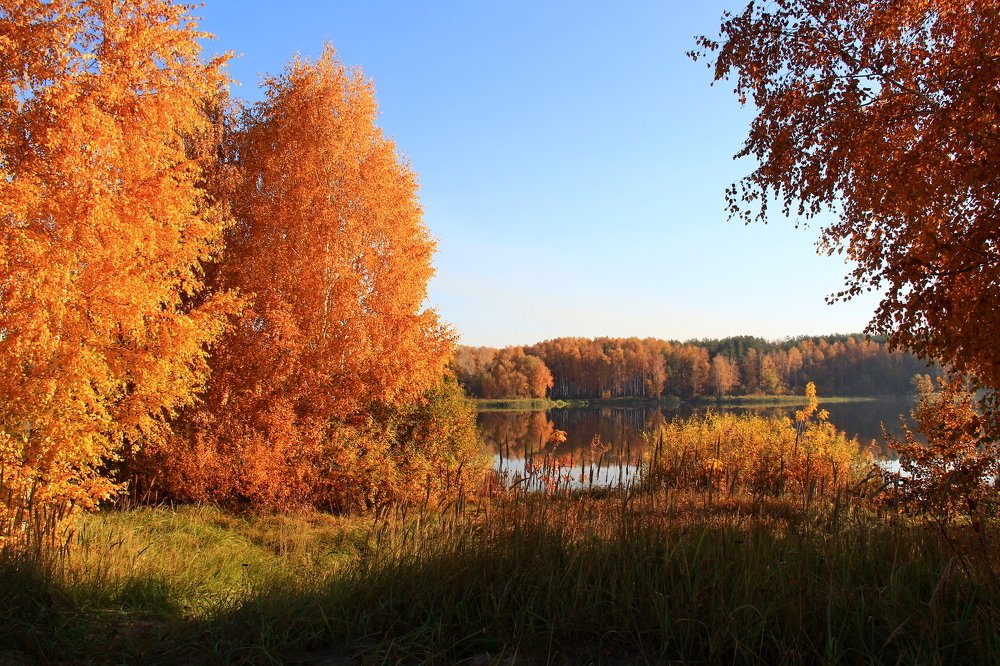 Золотая осень.
