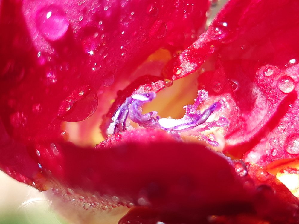 Photograph by Inessa Botasheva