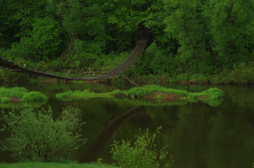 Photograph by Надежда Недашковская