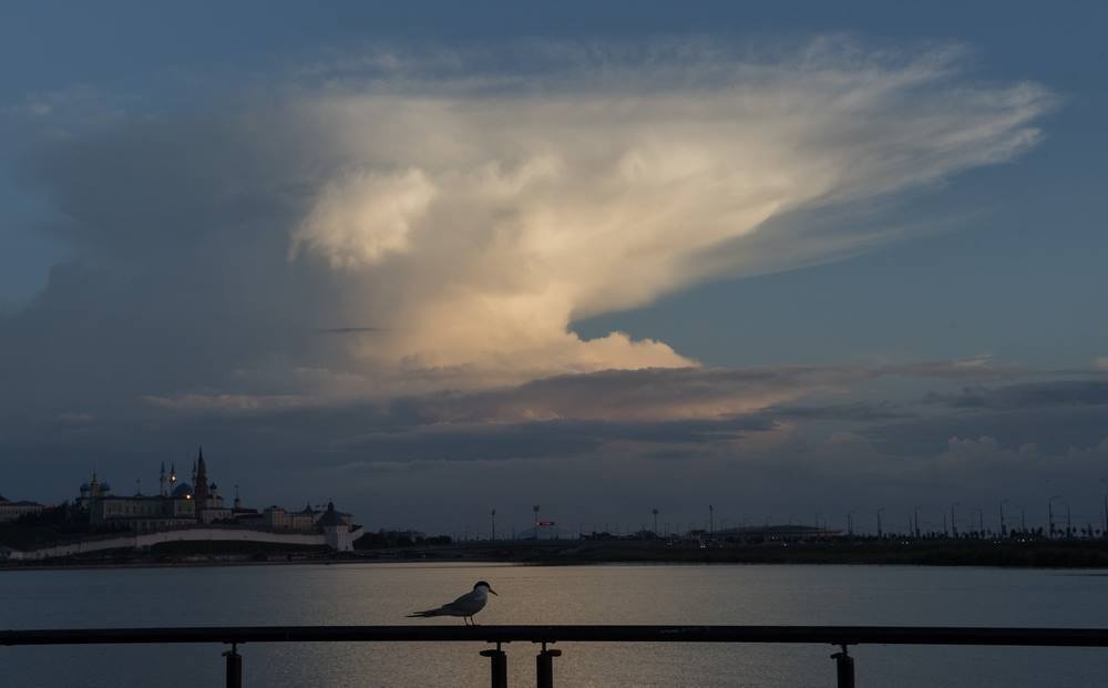 Фотография автора Владимир