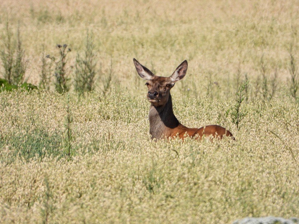 Photograph by ТАТЬЯНА КОНРАДИ