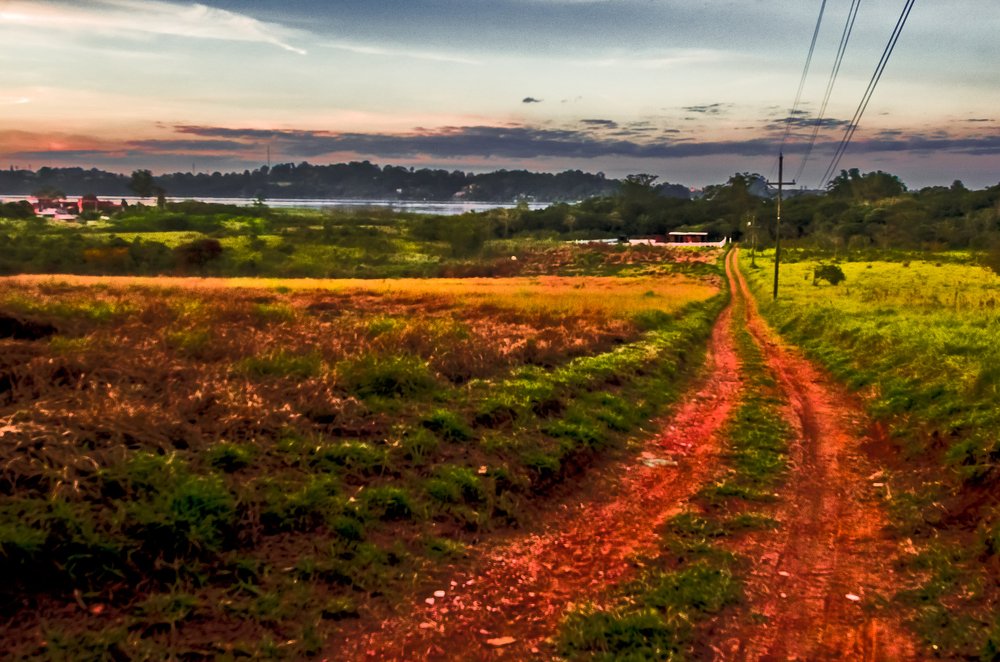 Photograph by Diniz Rodrigo