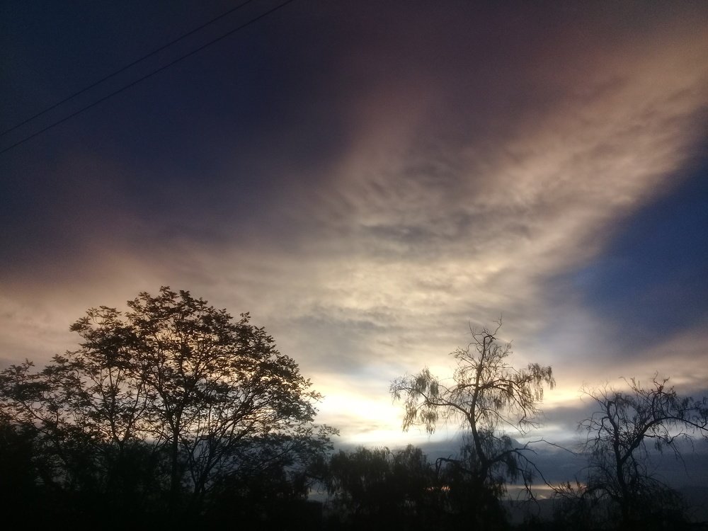 Photo #4398860