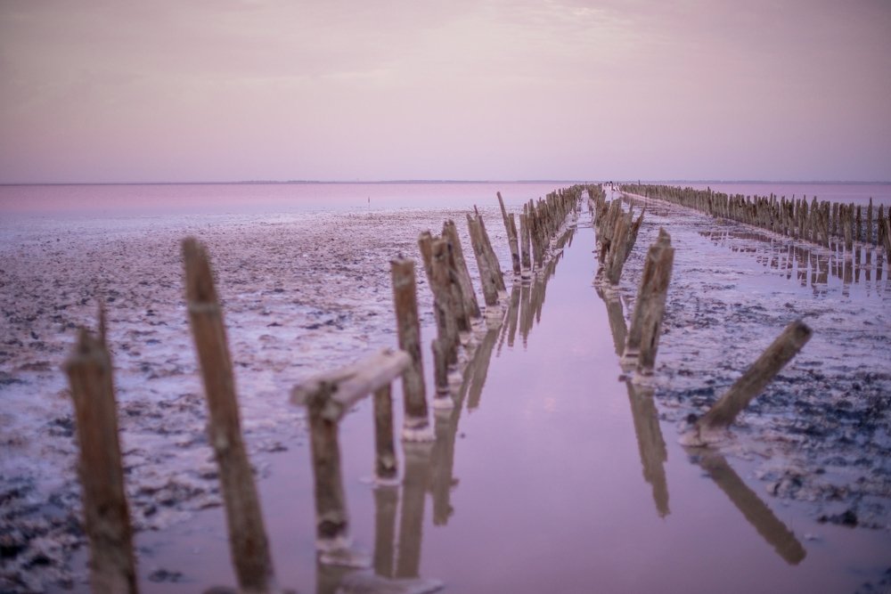 Photograph by Юлия Рубцова