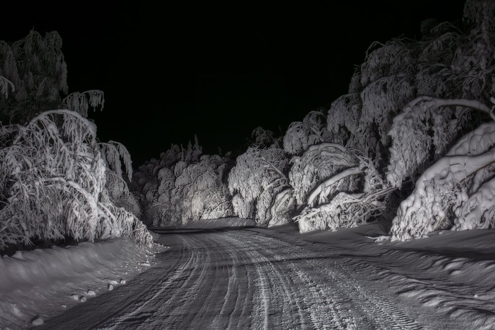 Зимняя сказка