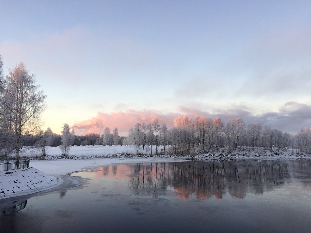 Photograph by Hamed Fazeli