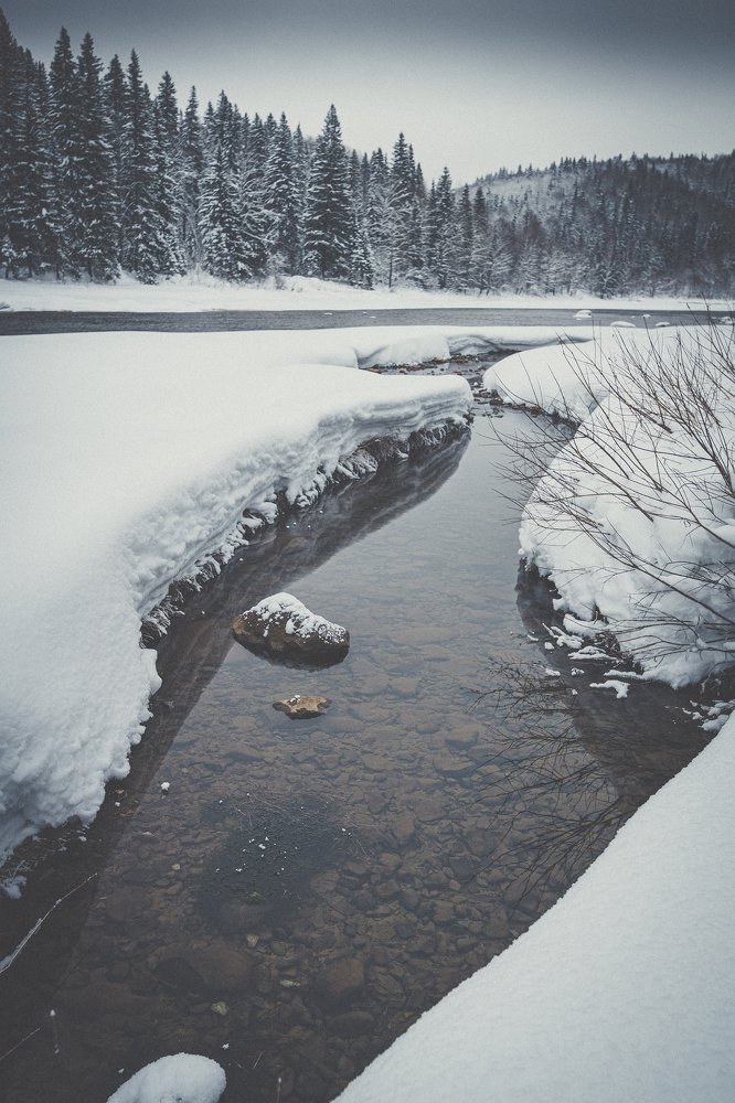 Photograph by Максим Моночков