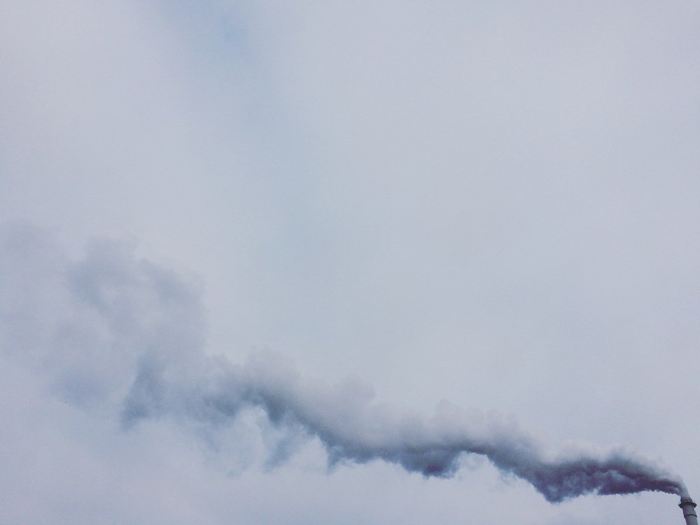 Photograph by Hamed Fazeli