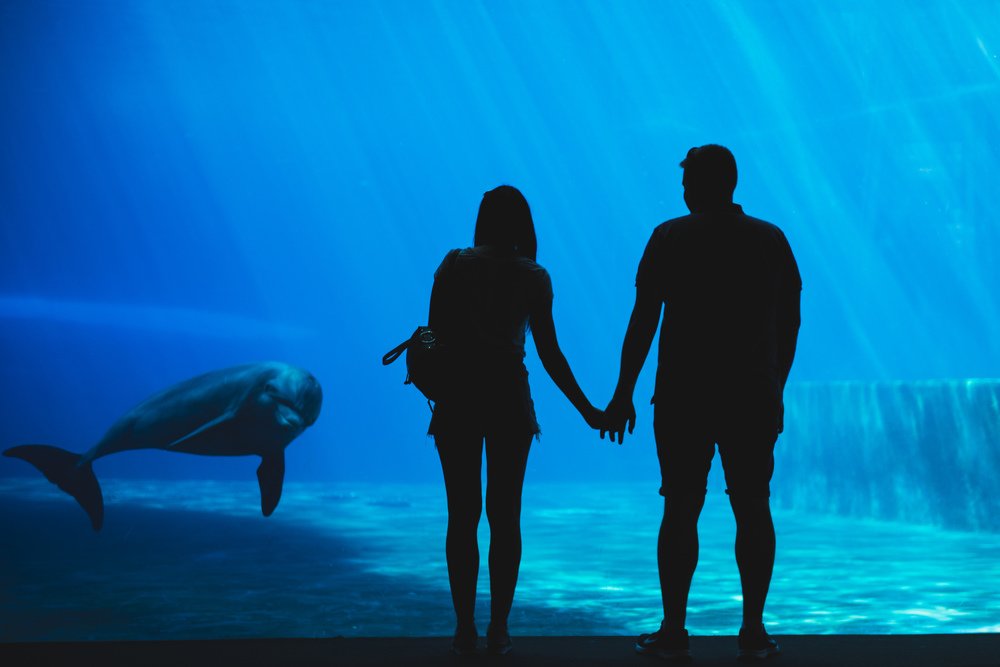 Photograph by Vladimirs Kondratjevs