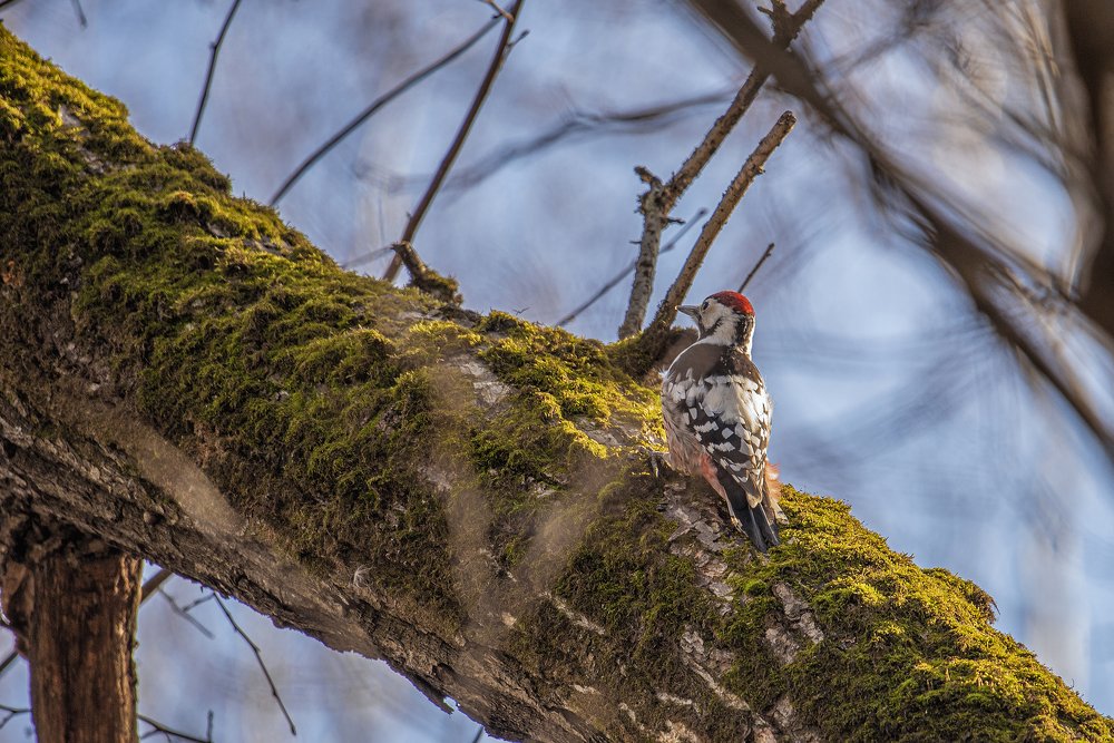Photograph by Кунин Илья
