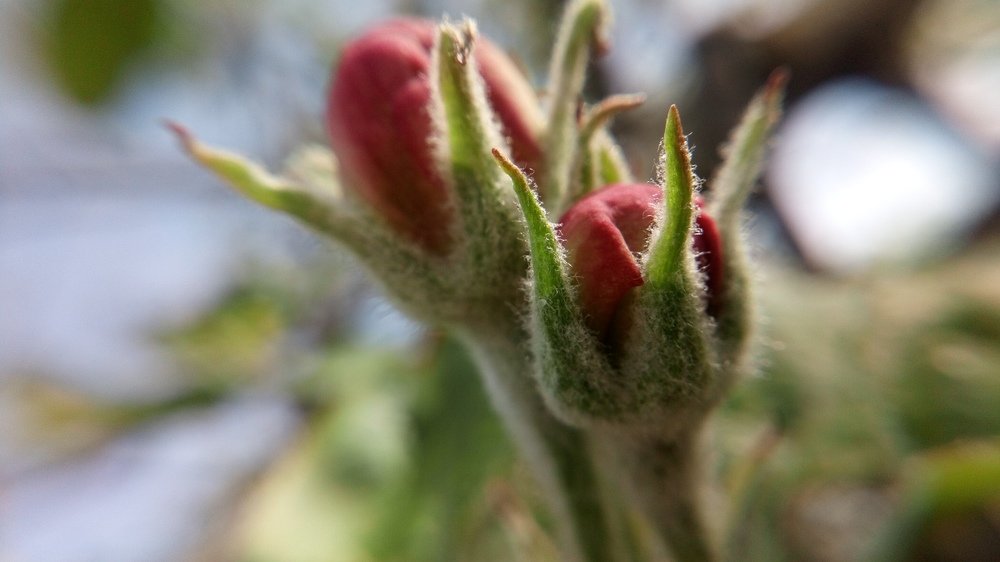 Photograph by Татьяна Кабанец