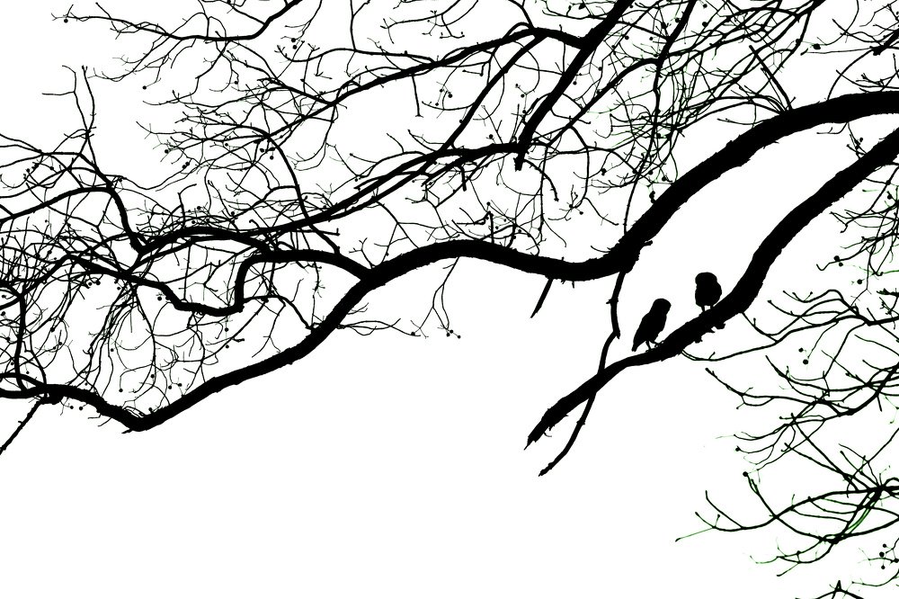 Photograph by Musafar Ali