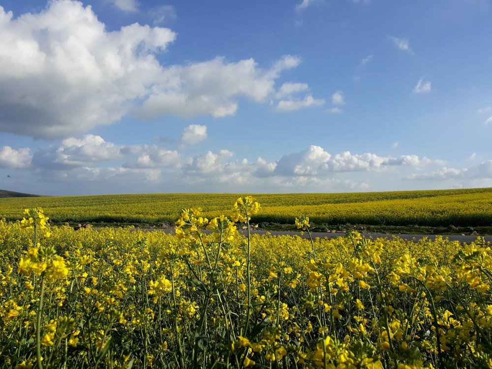 Photograph by Nour el houda Chetoui