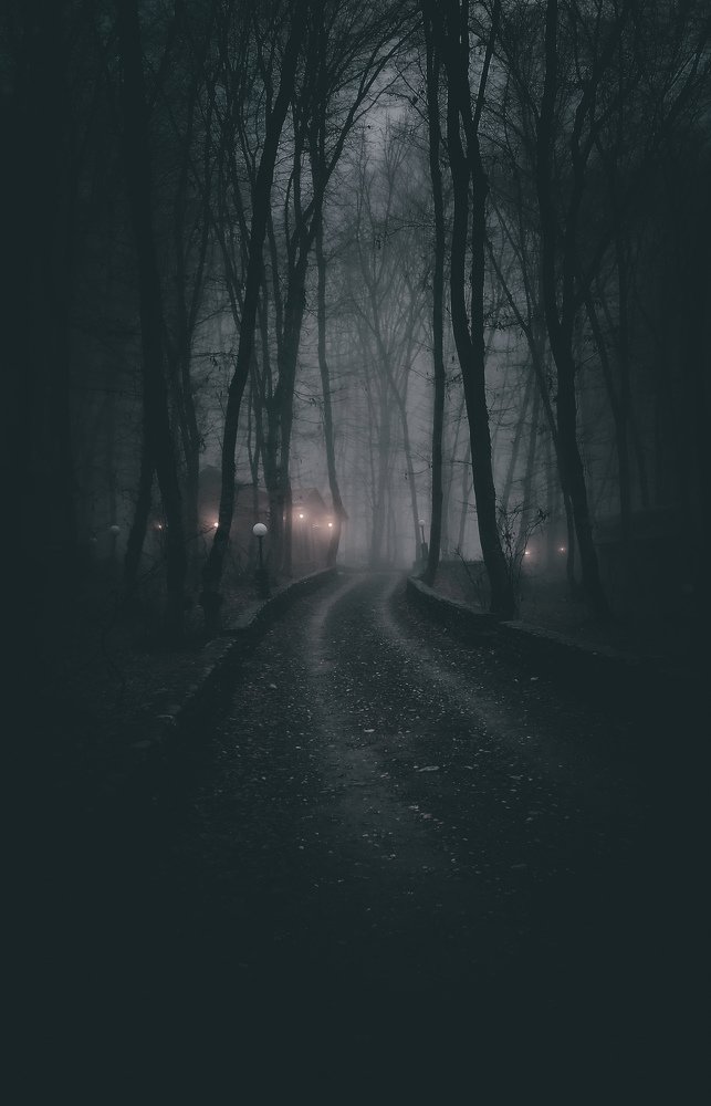 Dark forest