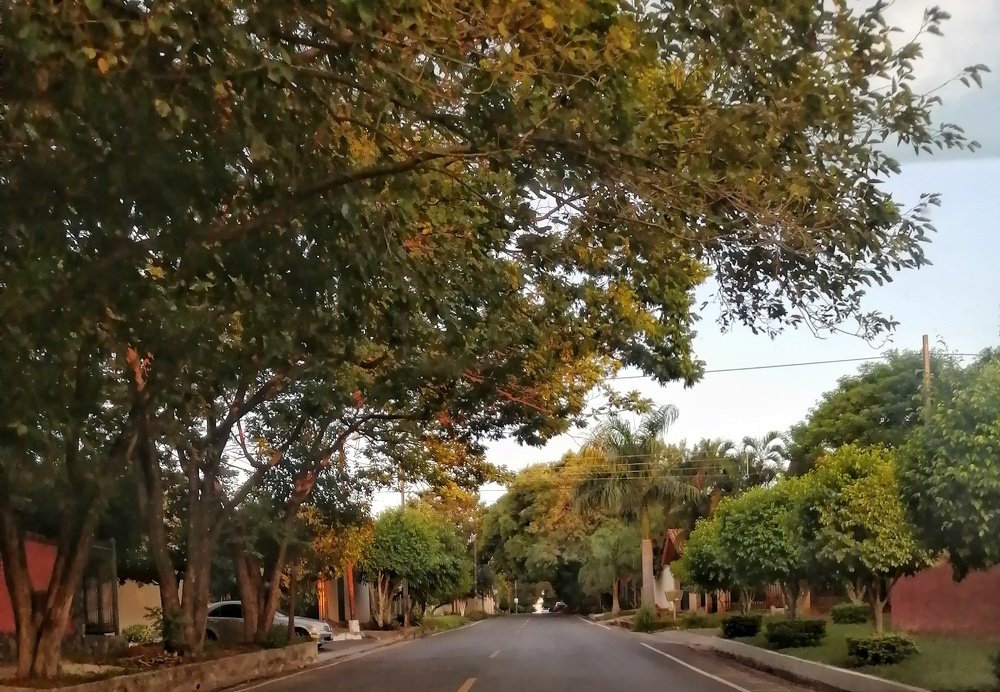 Фотография автора Manuel