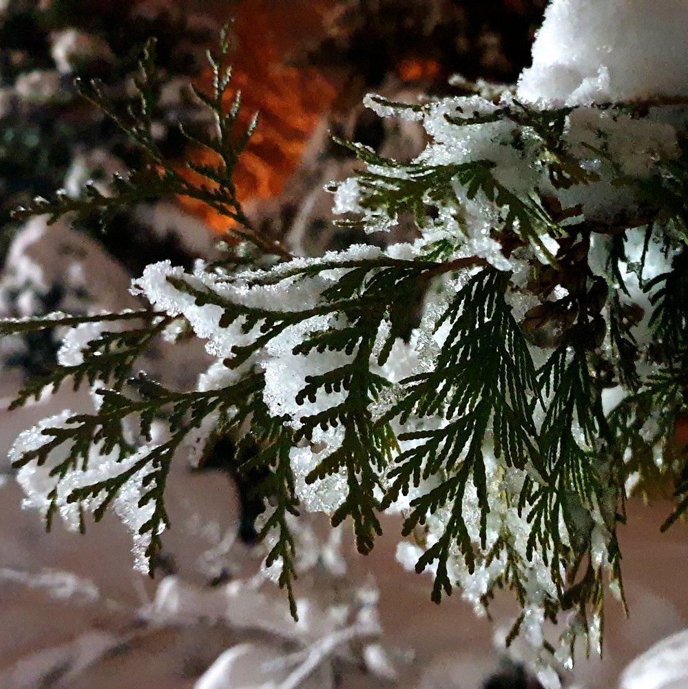 Photograph by Ирина Заитова