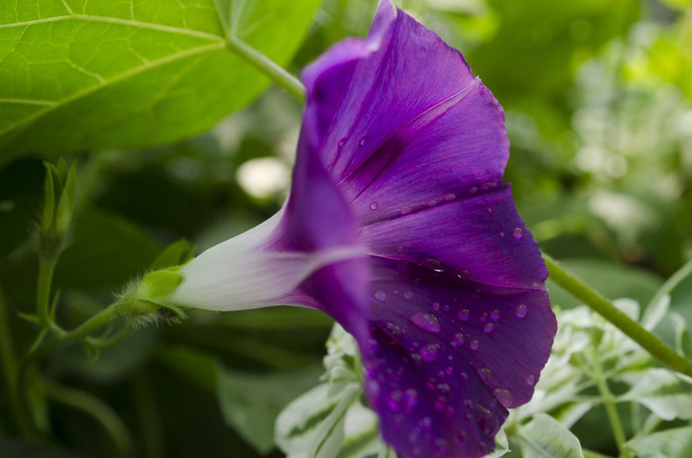 Photograph by Дмитрий