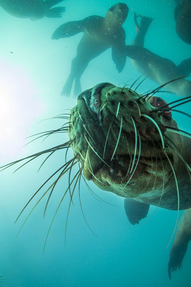 Photograph by Андрей Сидоров