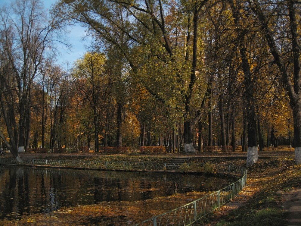 Photograph by Людмила М