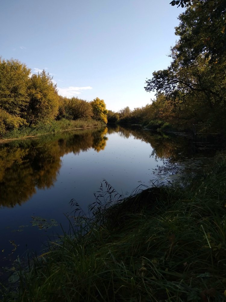 Photograph by Людмила М