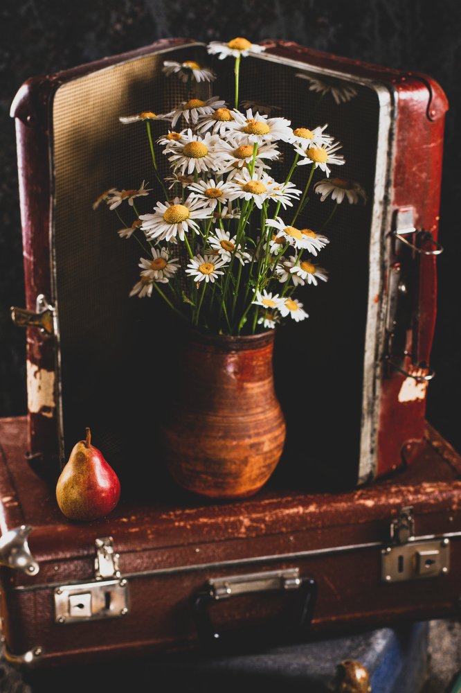 Photograph by Валентина Нисифорова